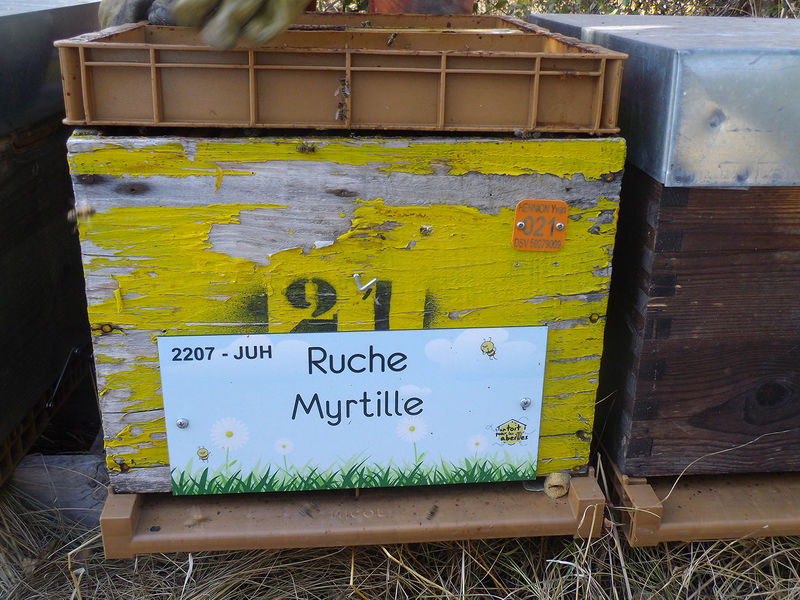 La ruche