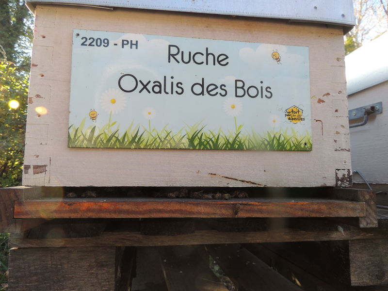 La ruche