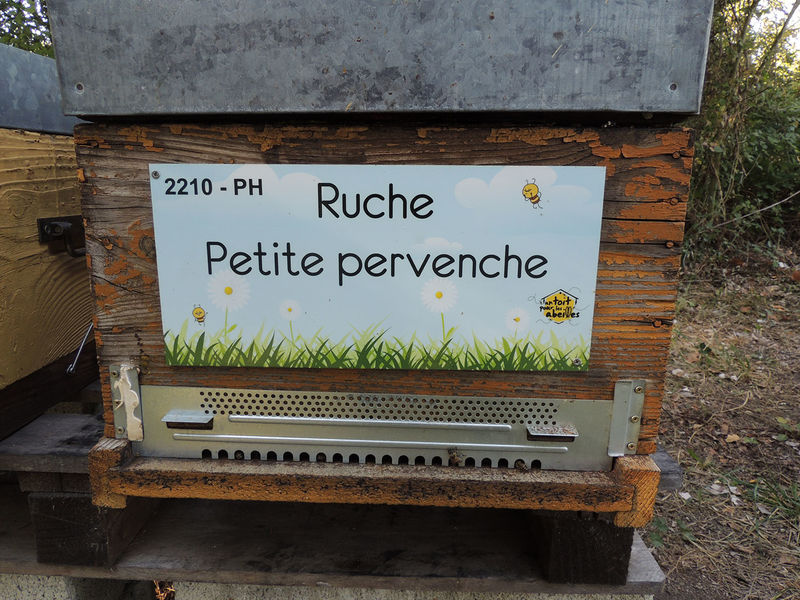 La ruche