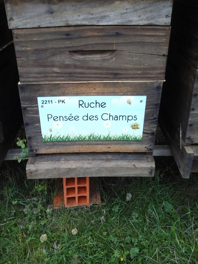 La ruche