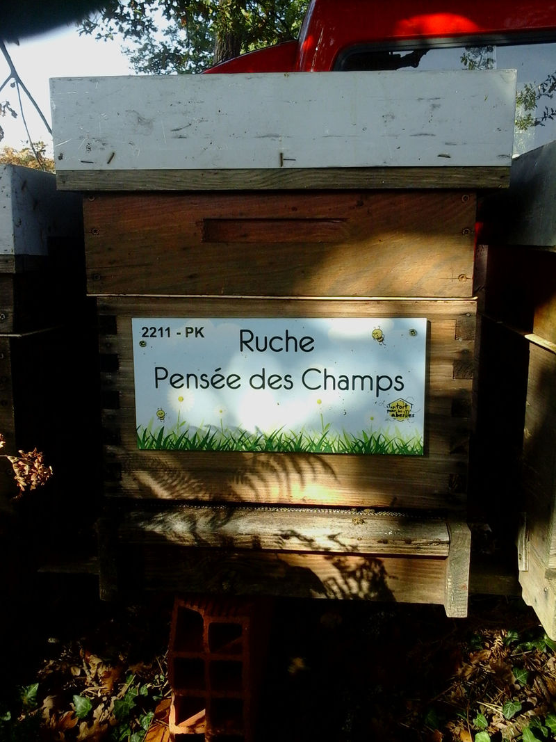 La ruche Pensée des Champs