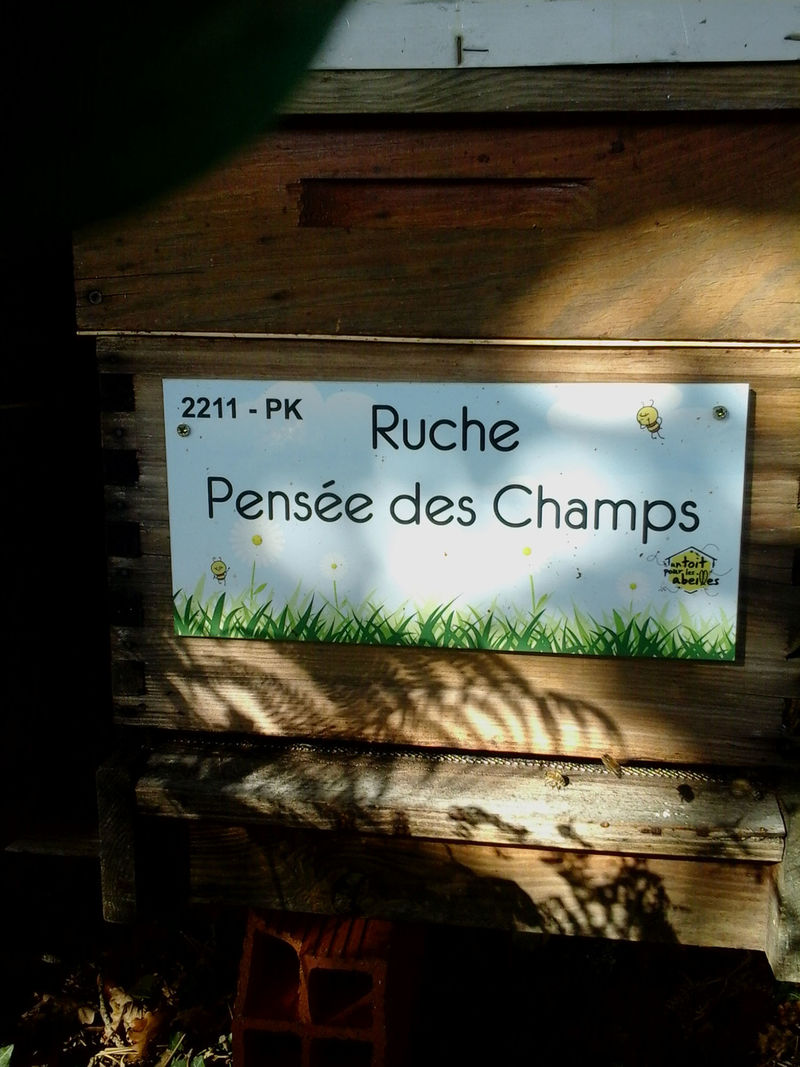 La ruche Pensée des Champs
