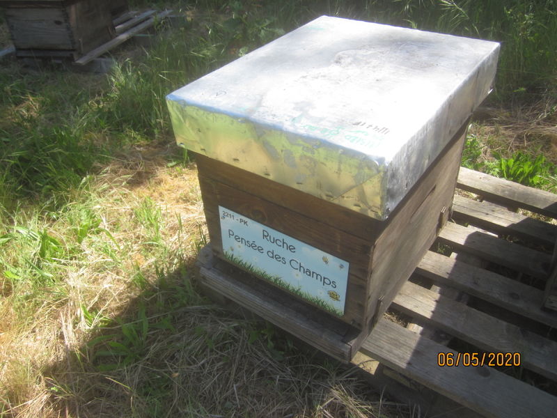 La ruche Pensée des Champs