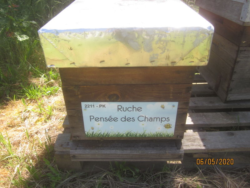 La ruche Pensée des Champs