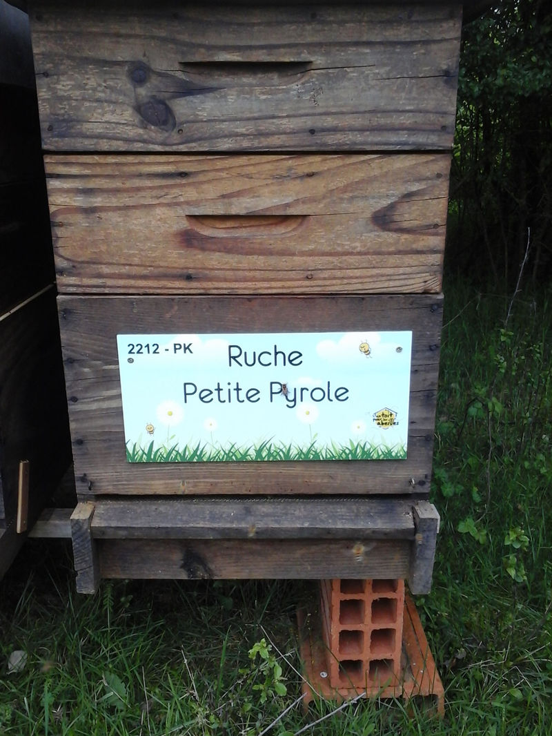La ruche