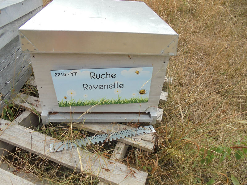 La ruche Ravenelle