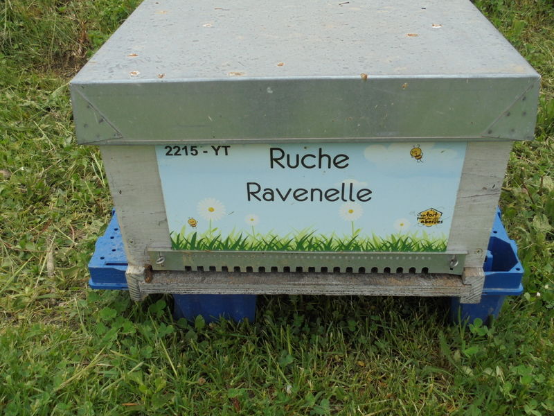 La ruche Ravenelle