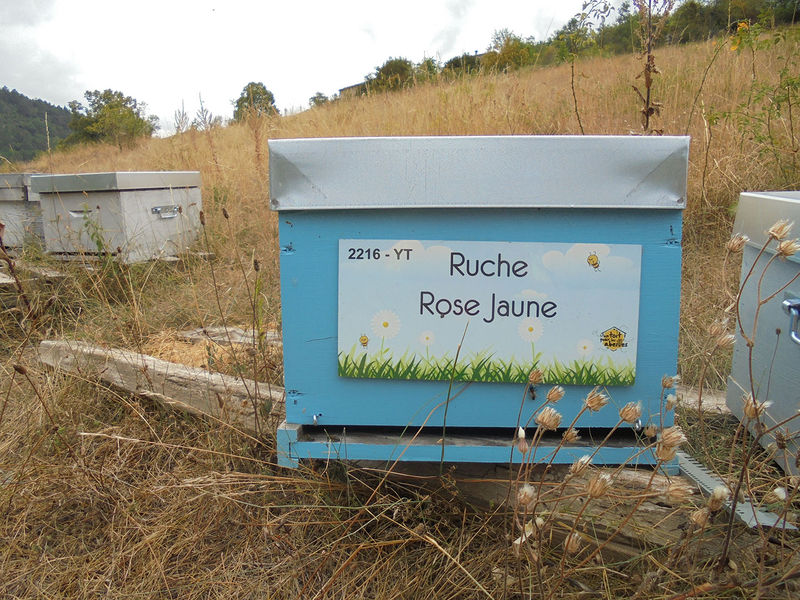 La ruche