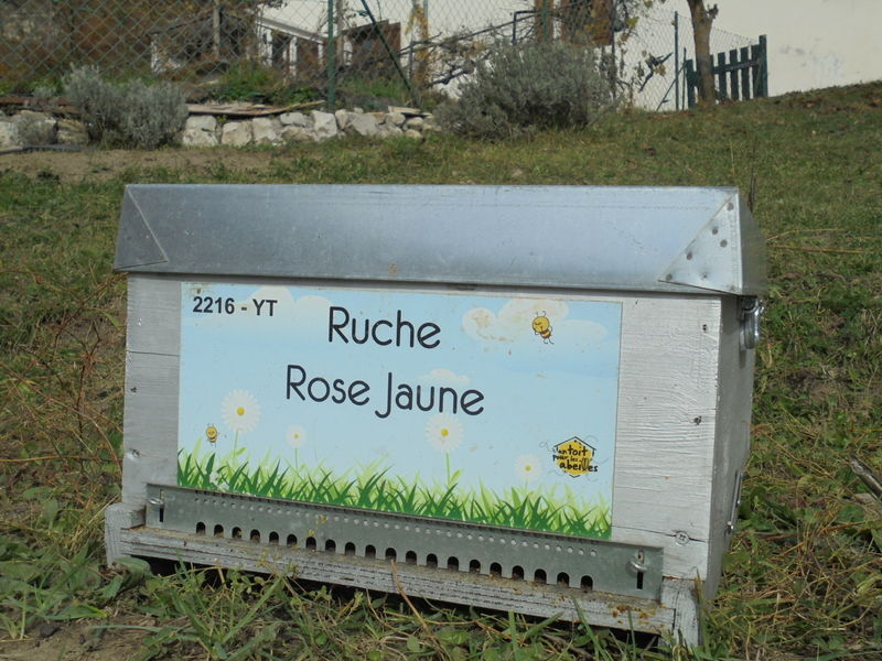 La ruche Rose Jaune