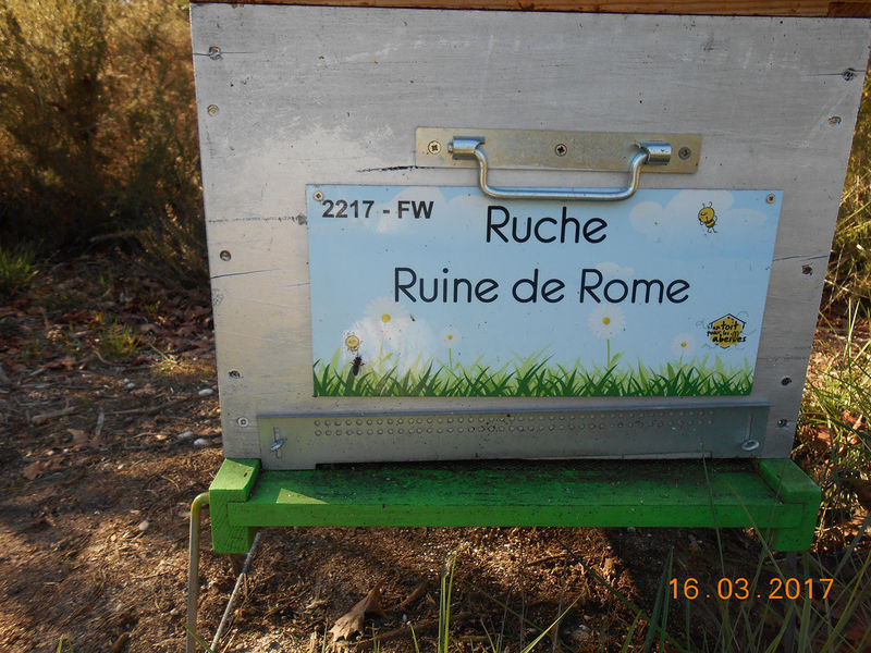 La ruche Ruine de Rome