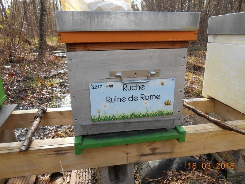 La ruche Ruine de Rome
