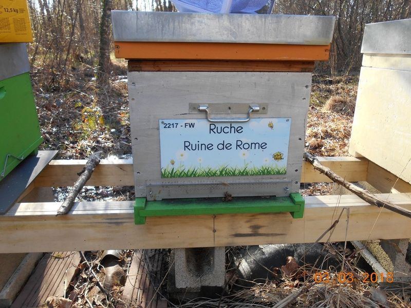 La ruche Ruine de Rome