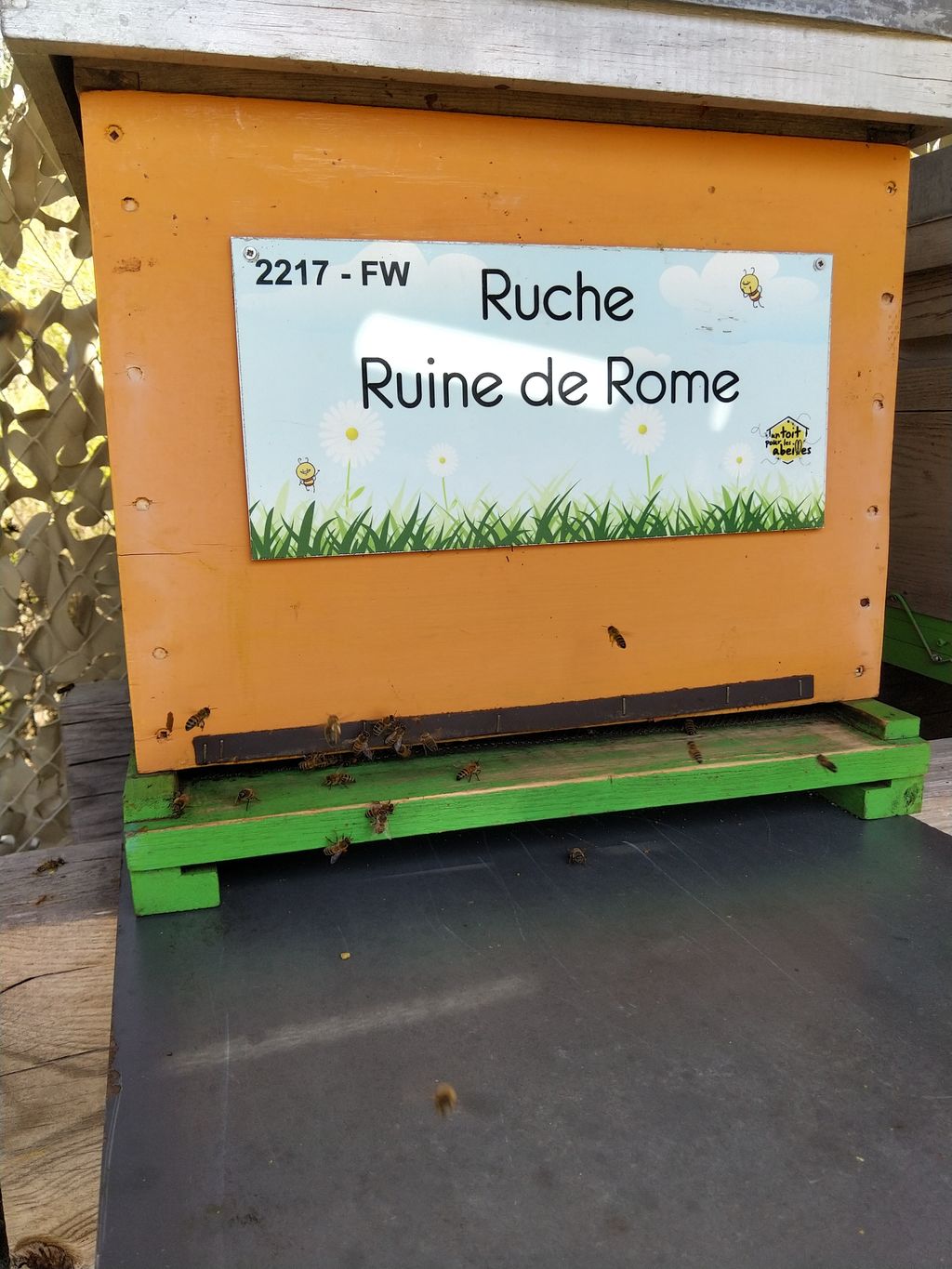 La ruche Ruine de Rome