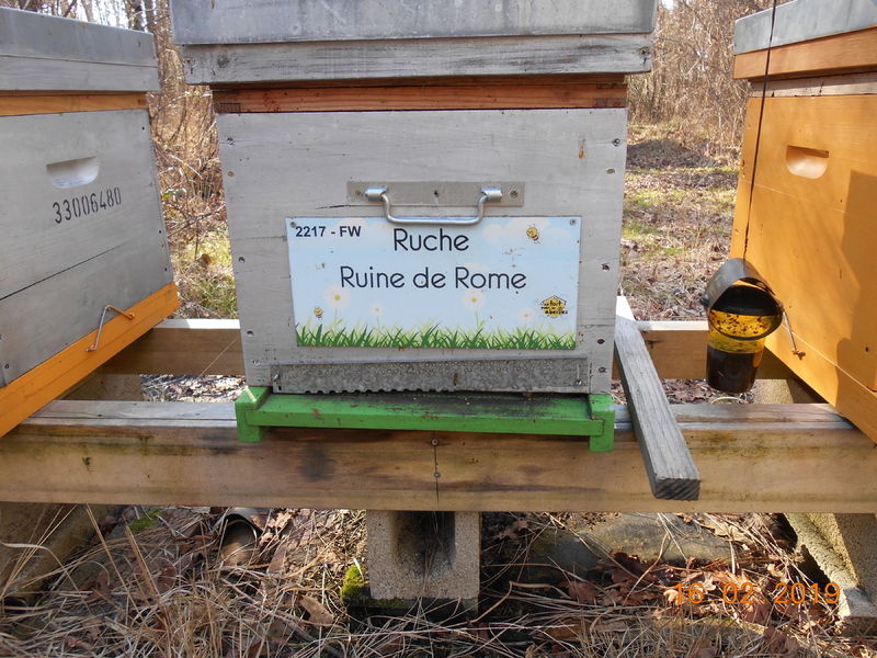 La ruche Ruine de Rome