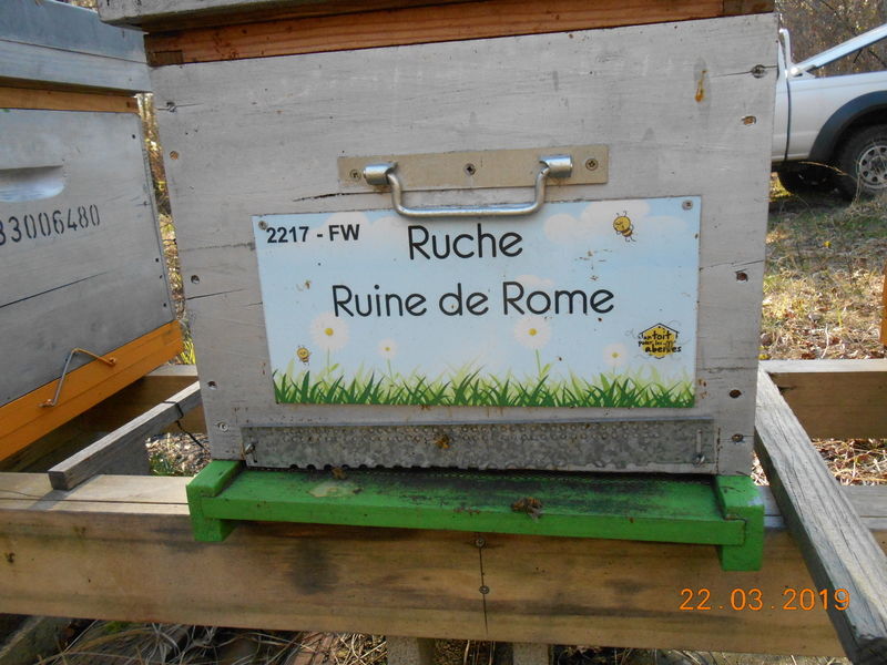 La ruche Ruine de Rome