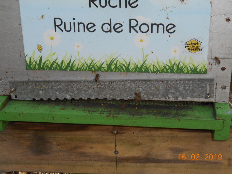La ruche Ruine de Rome