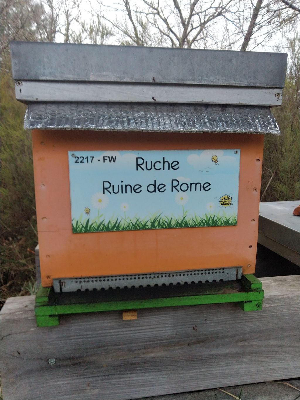 La ruche Ruine de Rome