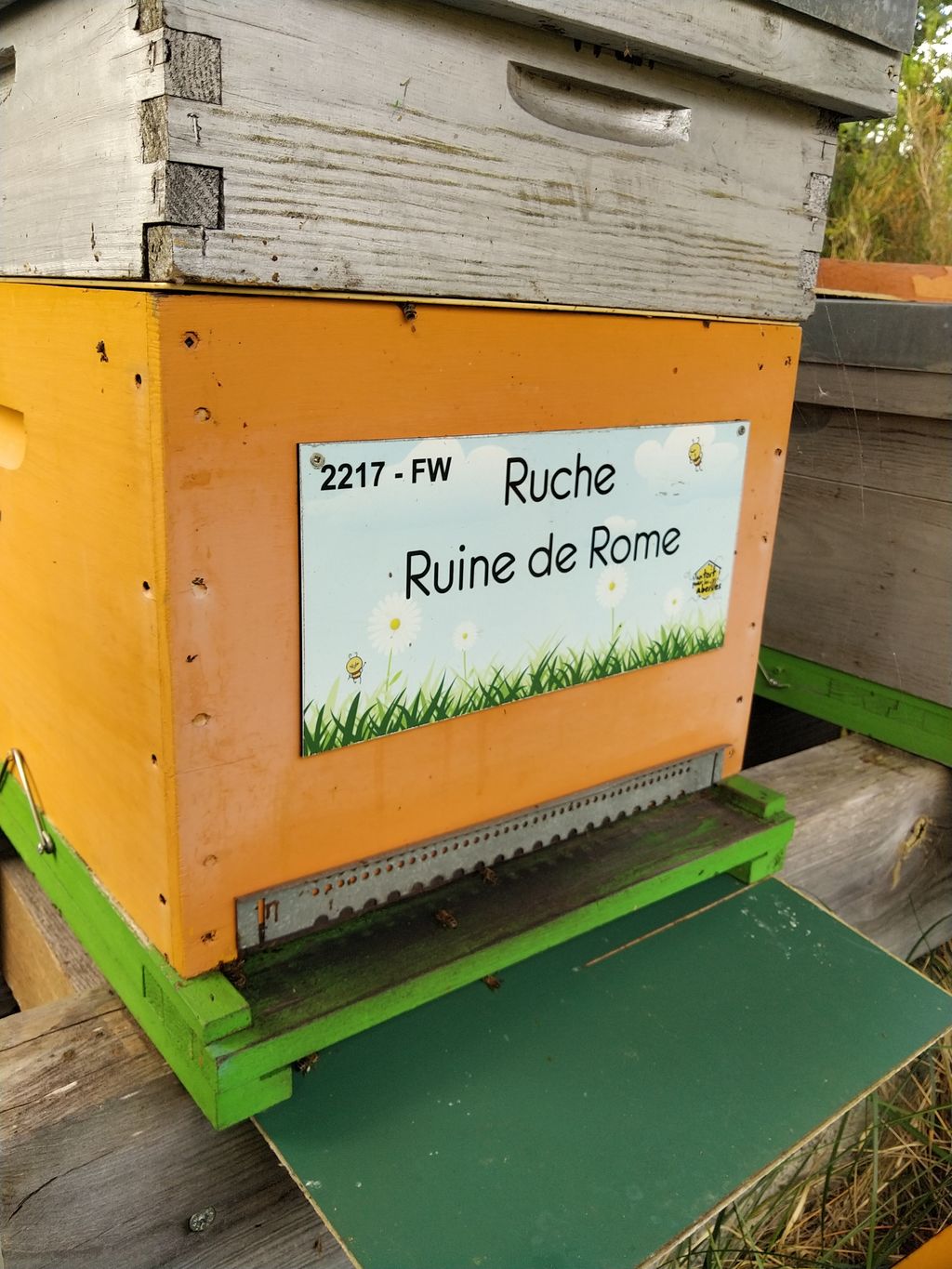 La ruche Ruine de Rome