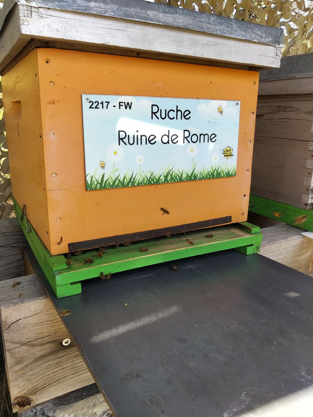 La ruche Ruine de Rome