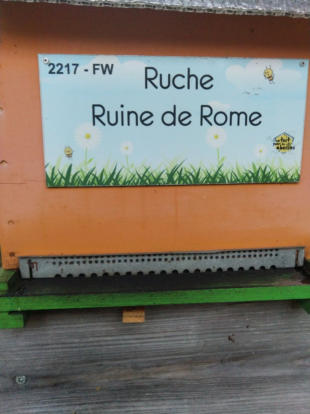 La ruche Ruine de Rome