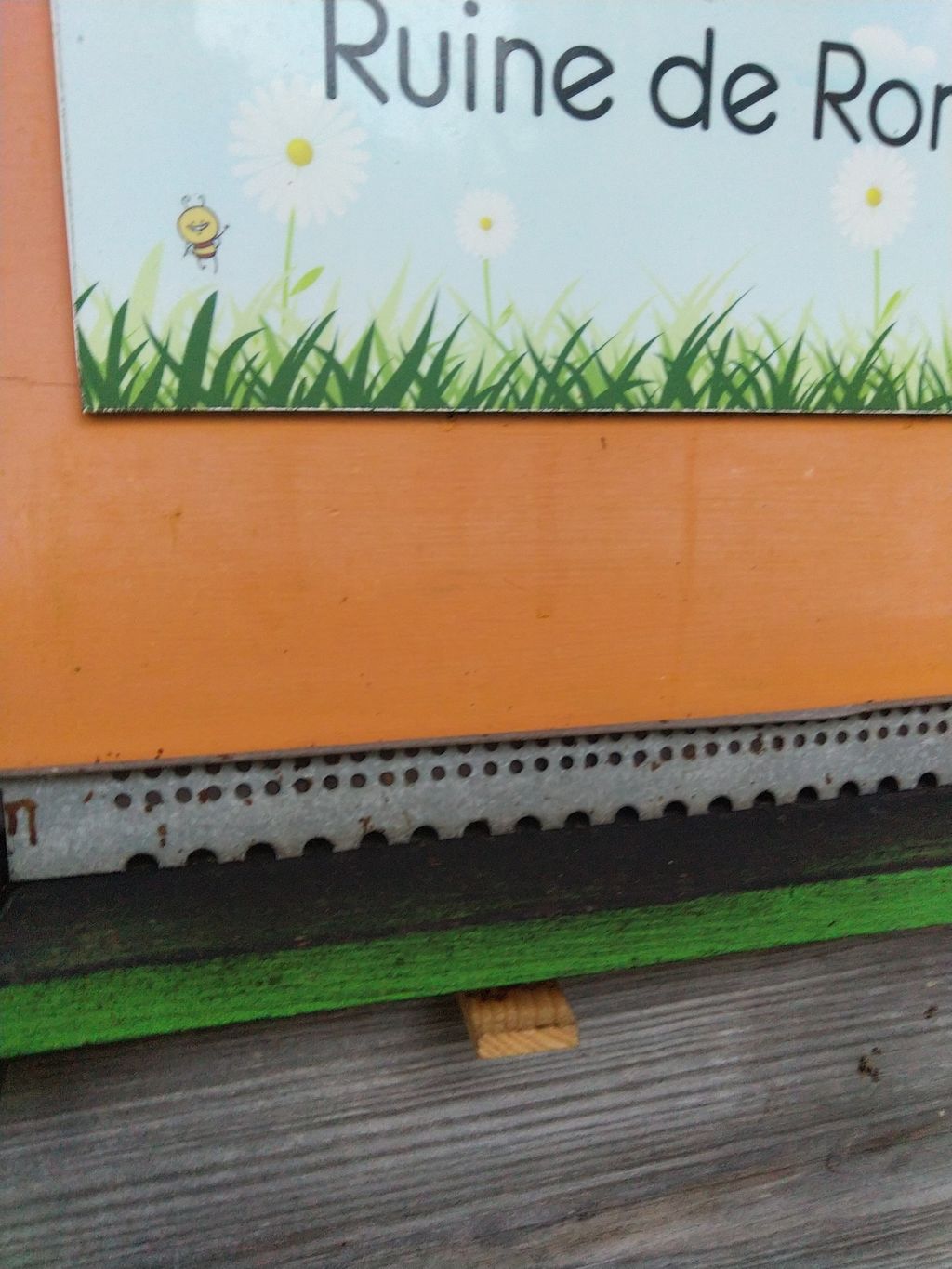 La ruche Ruine de Rome