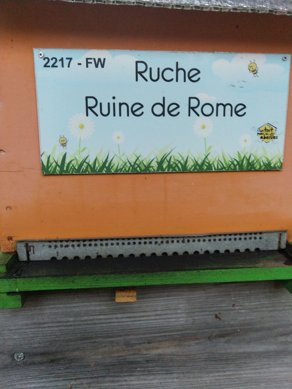 La ruche Ruine de Rome