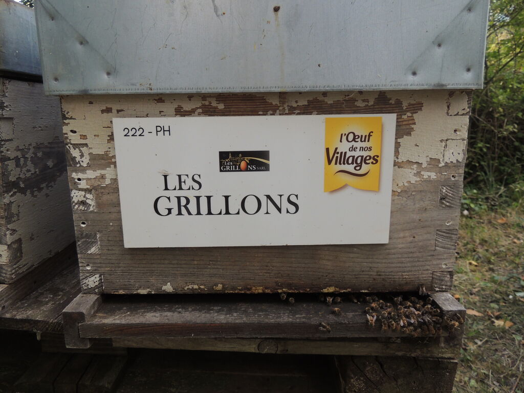 La ruche SARL LES GRILLONS