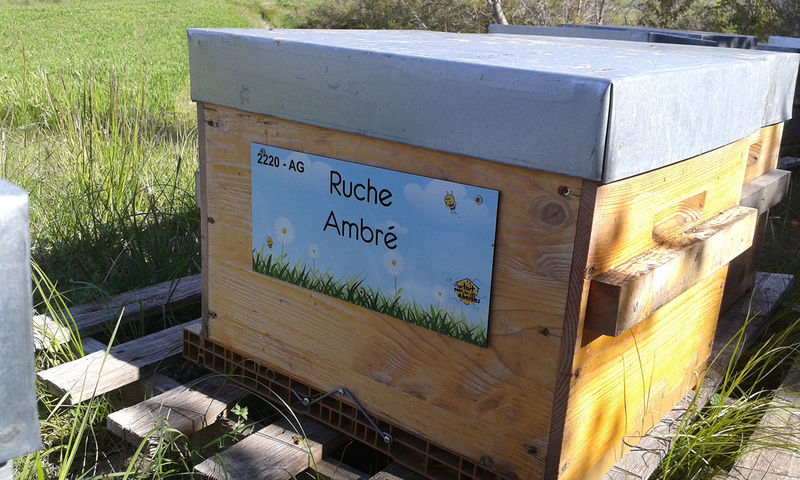 La ruche
