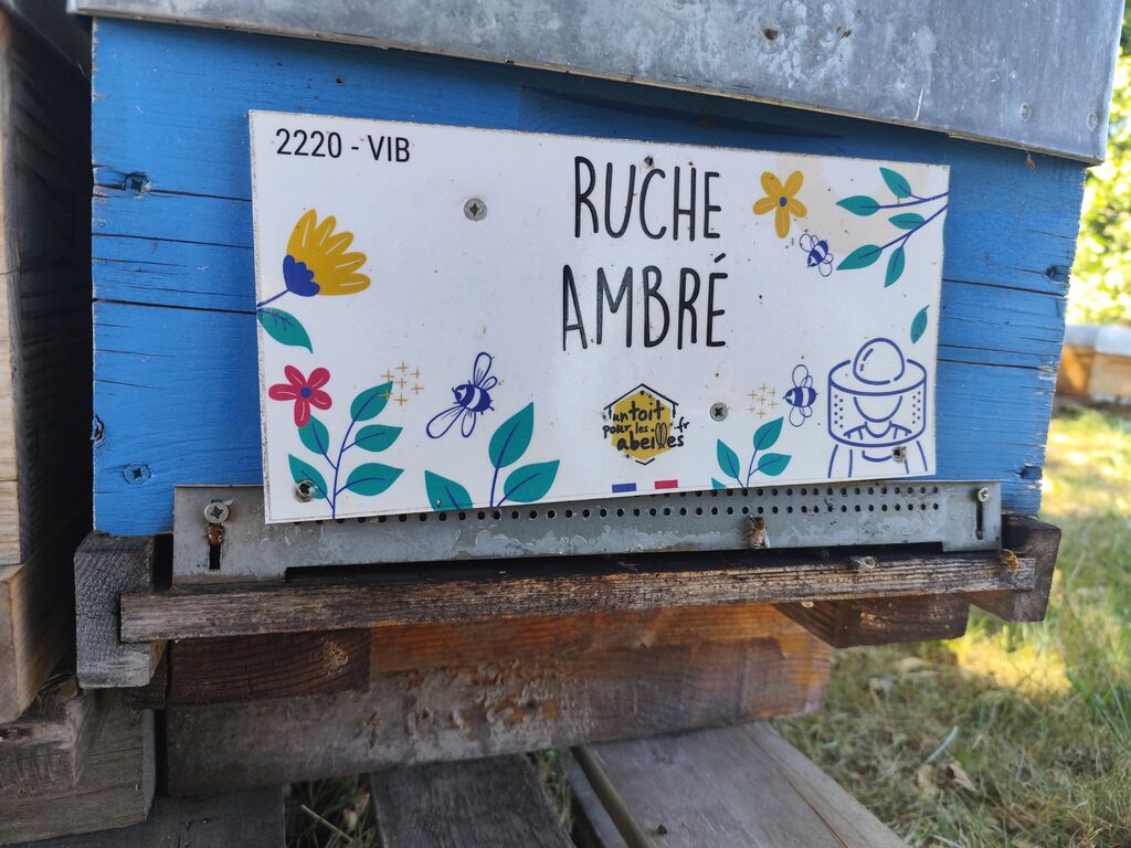 La ruche Ambré