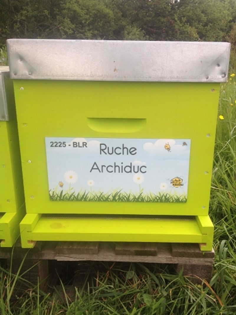 La ruche