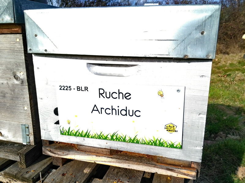 La ruche Archiduc