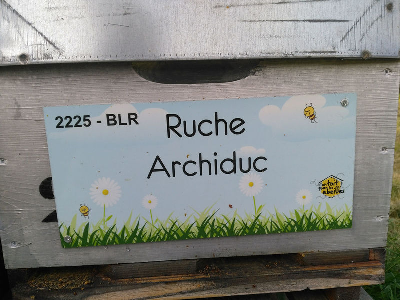 La ruche Archiduc
