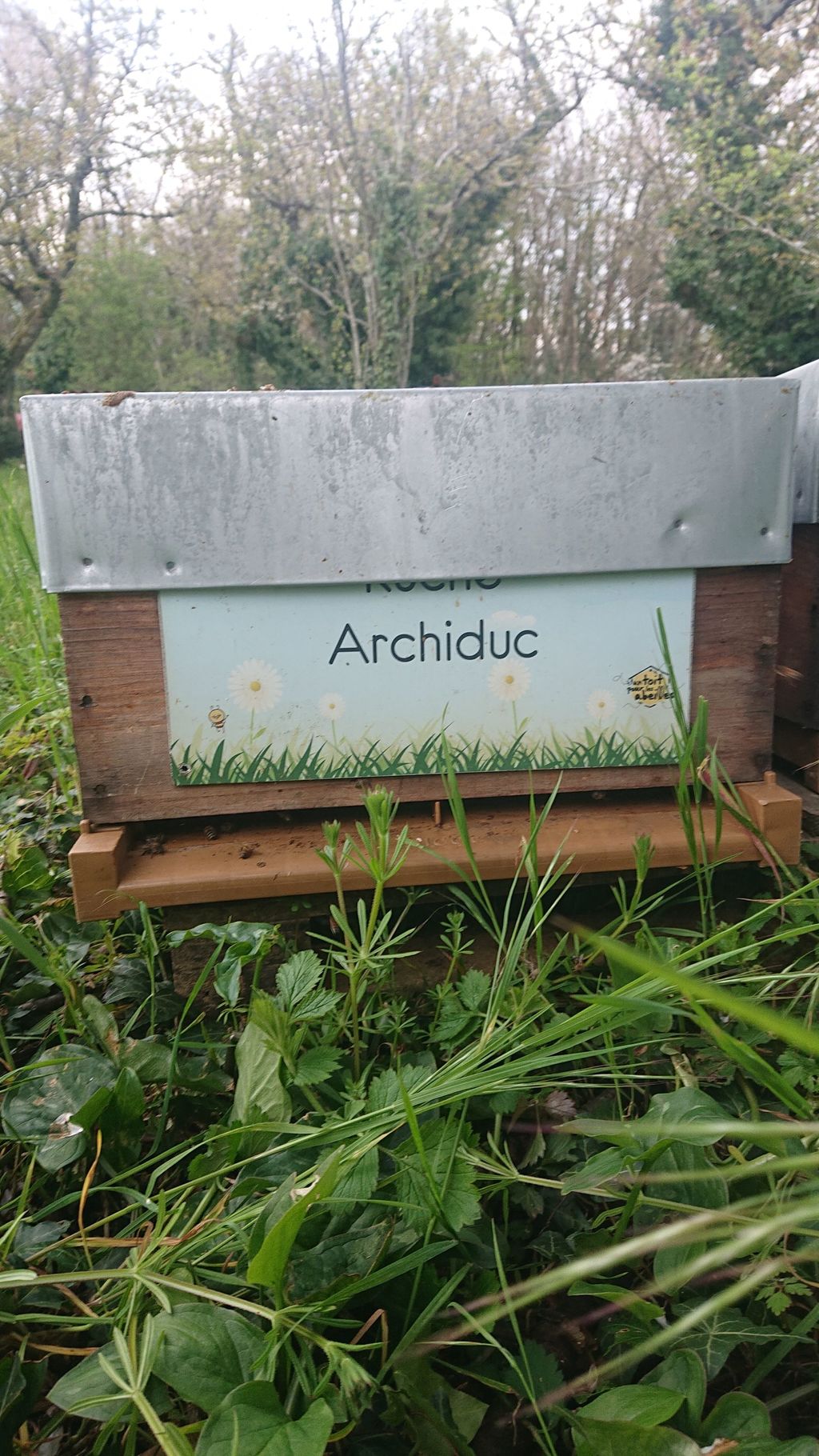 La ruche Archiduc