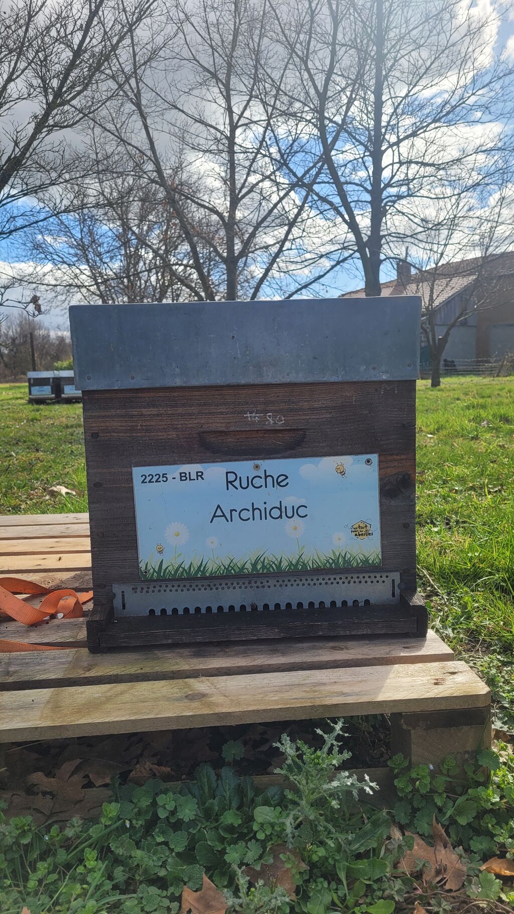 La ruche Archiduc