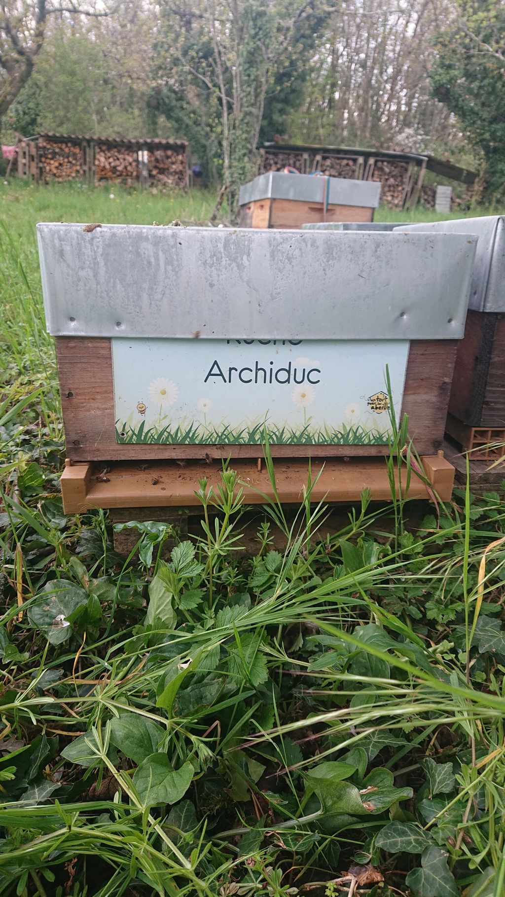 La ruche Archiduc