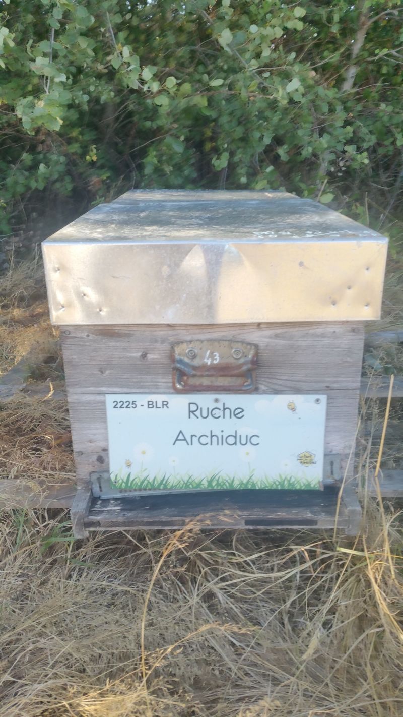 La ruche Archiduc