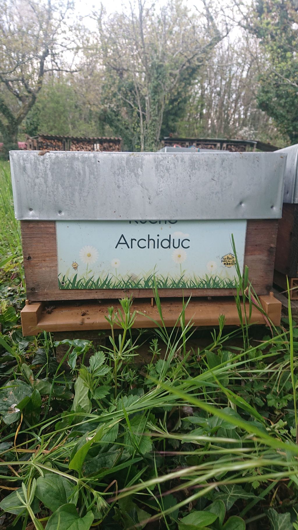 La ruche Archiduc
