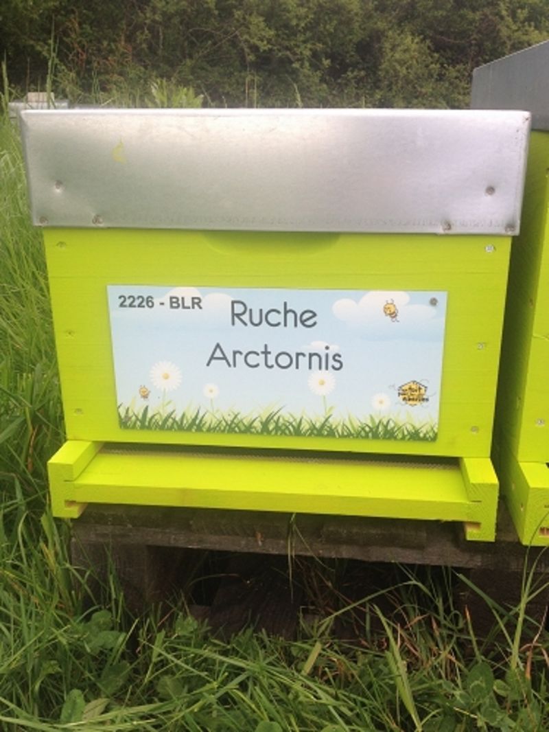 La ruche