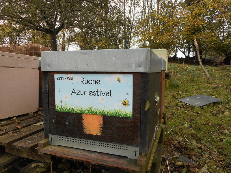 La ruche Azur estival