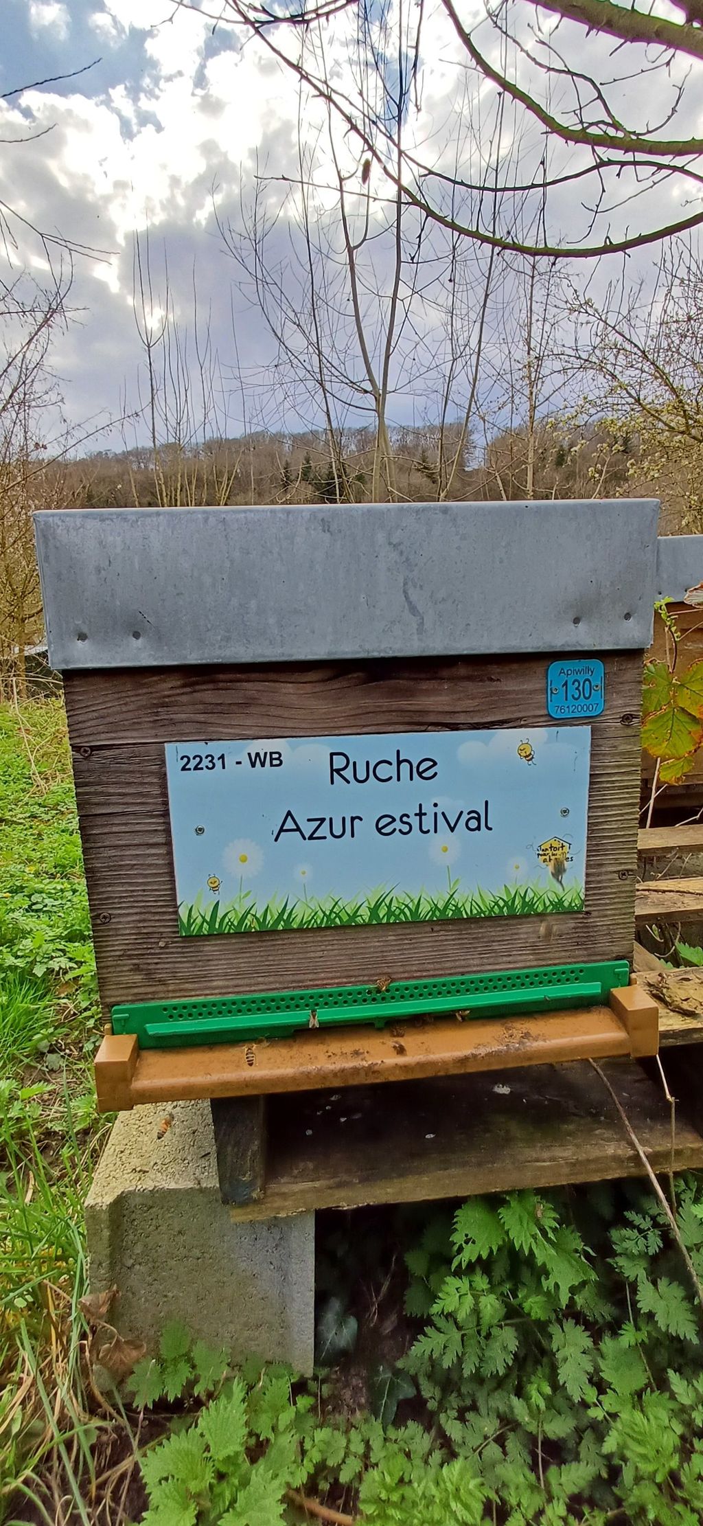 La ruche Azur estival