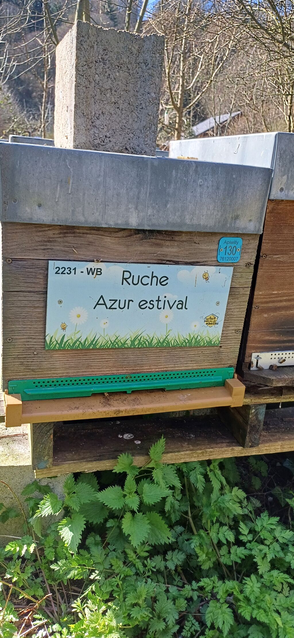 La ruche Azur estival