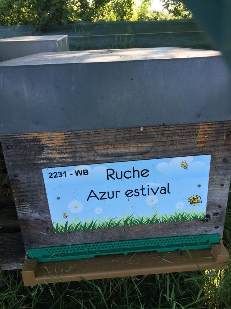 La ruche Azur estival