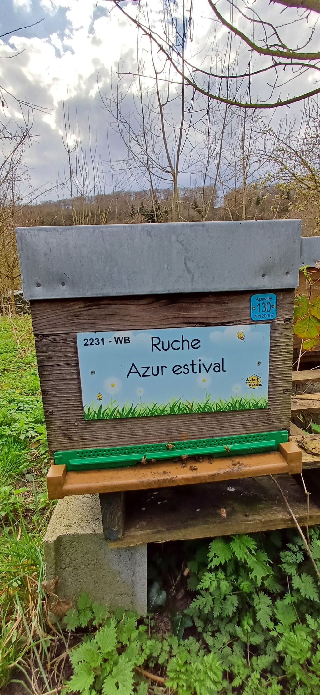 La ruche Azur estival