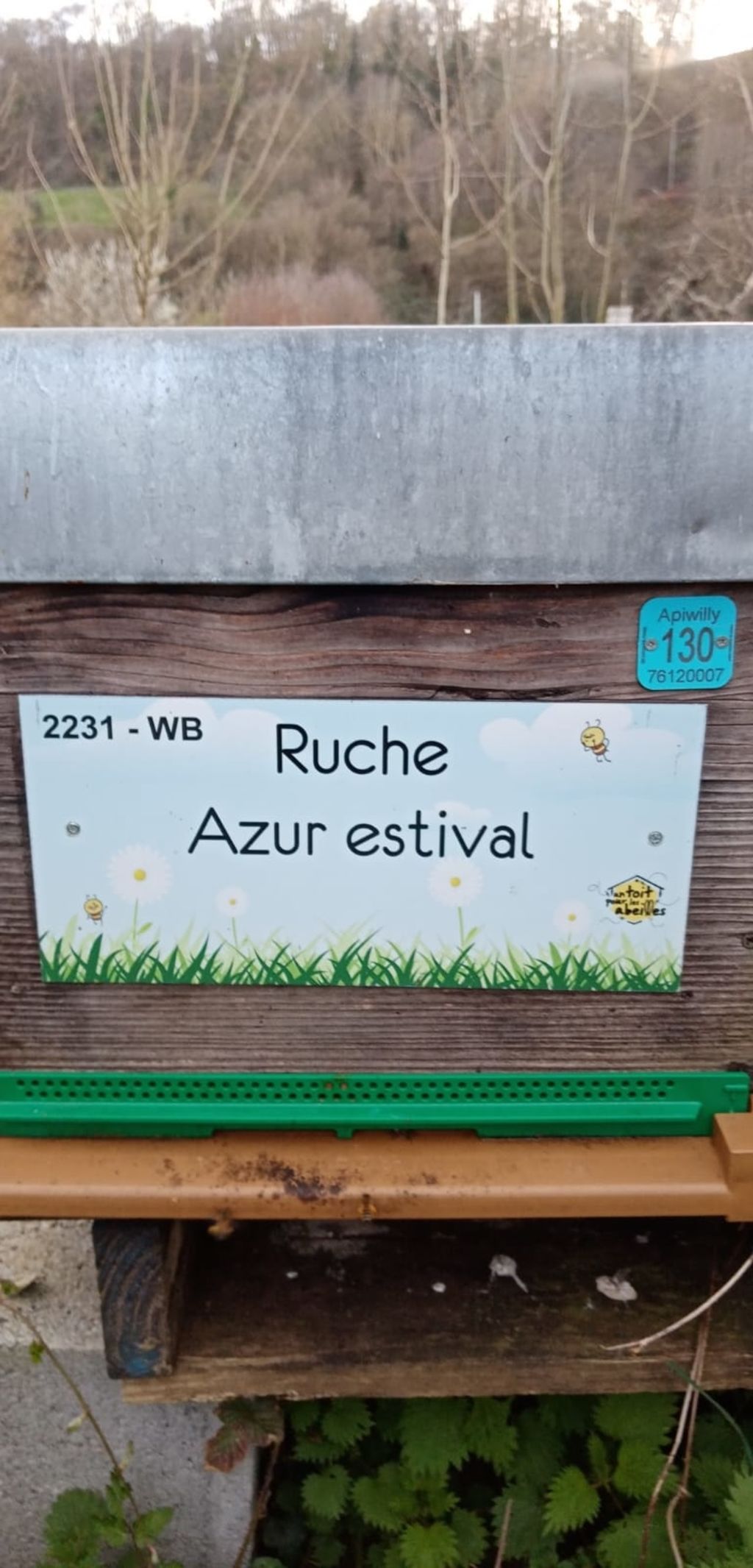 La ruche Azur estival