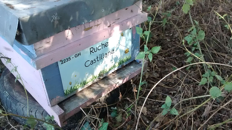 La ruche Castillane