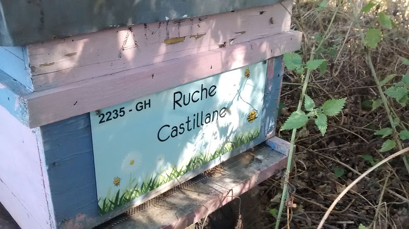 La ruche Castillane