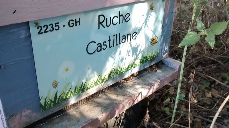 La ruche Castillane