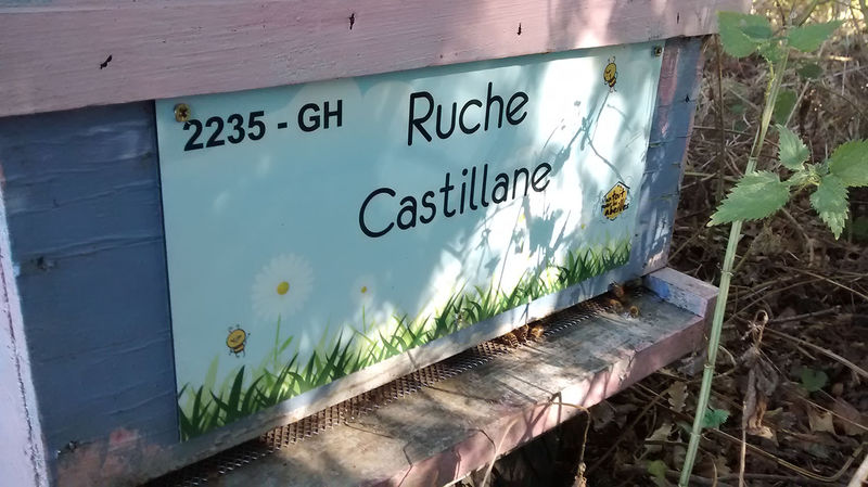 La ruche Castillane