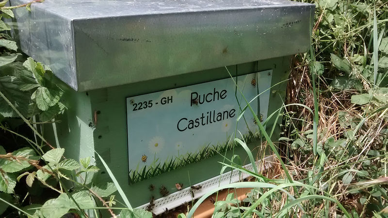 La ruche Castillane