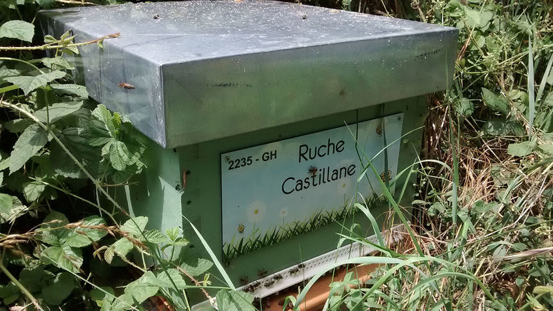 La ruche Castillane